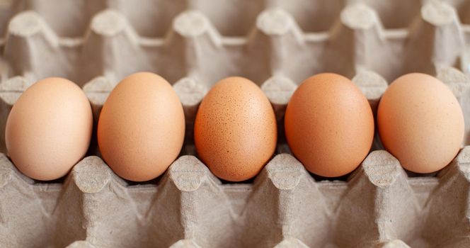 Several brown eggs lie in a row in a large cardboard bag, a chicken egg as a valuable nutritious product, a tray for carrying and storing fragile eggs