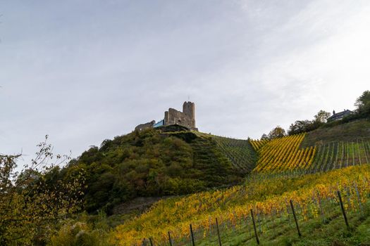 Scenic view at Landshut castle in Bernkastel-Kues on the river Moselle in autumn with multi colored vineyards 