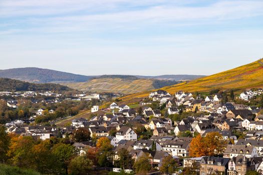 Scenic view at Bernkastel-Kues and the river Moselle valley in autumn with multi colored landscape on a sunny day 