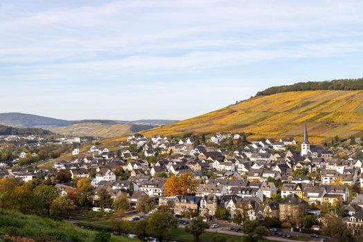 Scenic view at Bernkastel-Kues and the river Moselle valley in autumn with multi colored landscape on a sunny day 