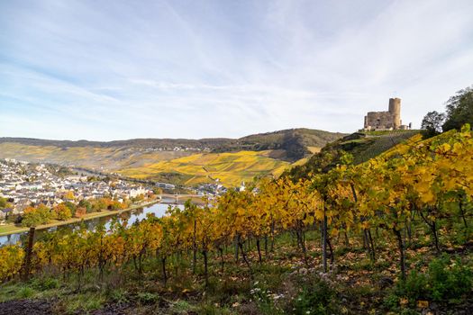 Scenic view at Bernkastel-Kues and the river Moselle valley in autumn with multi colored landscape on a sunny day 