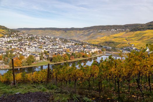 Scenic view at Bernkastel-Kues and the river Moselle valley in autumn with multi colored landscape on a sunny day 