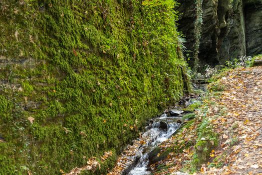 Landscape around the waterfall and the creek Tiefenbach near Bernkastel-Kues on river Moselle in autumn