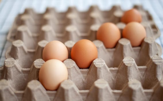 A few brown eggs among the empty cells of a large cardboard bag, a chicken egg as a valuable nutritious product, a tray for carrying and storing fragile eggs