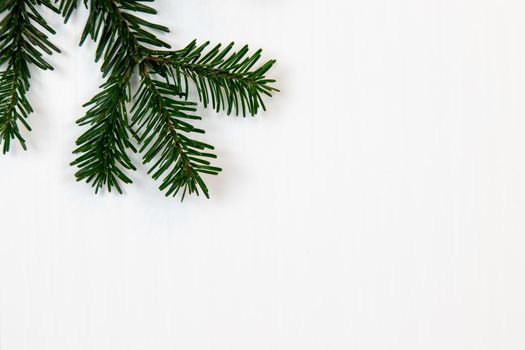 Christmas motif, texture, background with green branch of a Nordmann fir on the top left on a white background with free space for text.