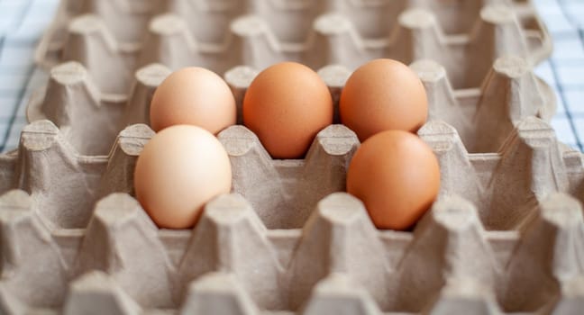 A few brown eggs among the empty cells of a large cardboard bag, a chicken egg as a valuable nutritious product, a tray for carrying and storing fragile eggs