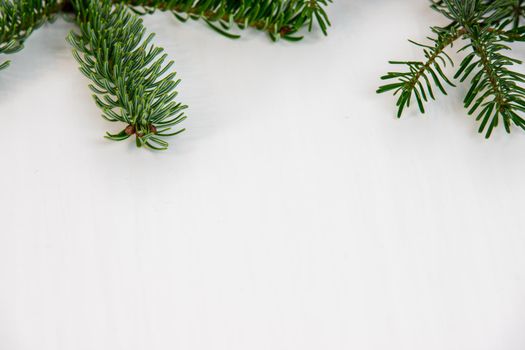 Christmas motif, texture, background with green branch of a Nordmann fir on the top left on a white background with free space for text.