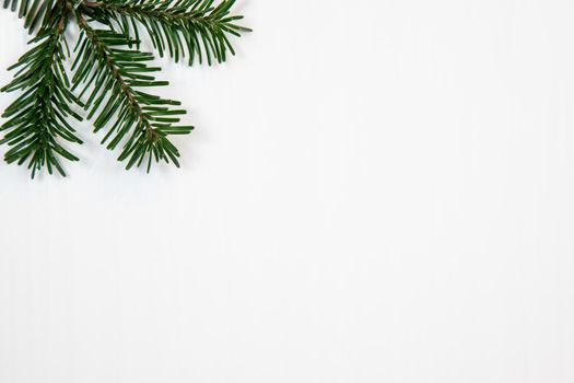 Christmas motif, texture, background with green branch of a Nordmann fir on the top left on a white background with free space for text.