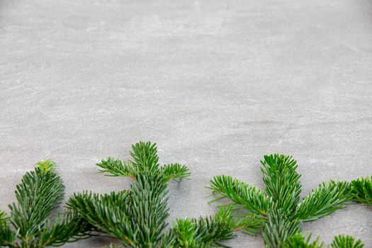 Christmas motif, texture, background with branches of a Nordmann fir at the bottom on a grey marbled  background with free space for text