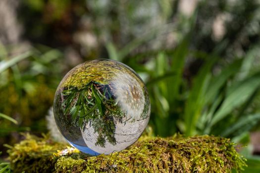 Crystal ball with dandelion flower on moss covered stone surrounded by a green grass