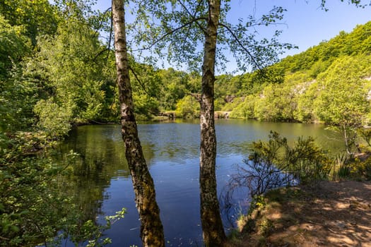 Scenic view at the silver lake on the mountain Lemberg, Rhineland-Palatinate, Germany