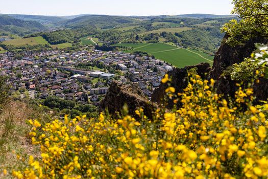 High angle view from the Rotenfels of Bad Muenster am Stein Ebernburg with yellow flowering shrub