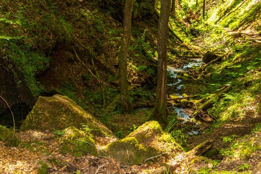 Small stream in the canyon Hexemklamm, Palatinate forest nearby Pirmasens, Germany