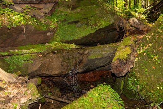 Water flowing over moss covered rocks in the canyon  Hexenklamm