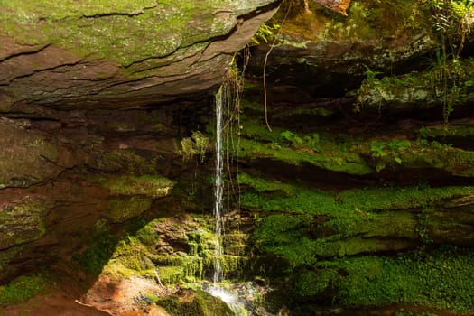 Water flowing over moss covered rocks in the canyon  Hexenklamm