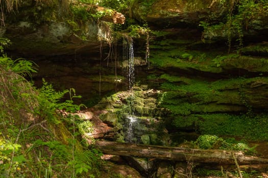 Water flowing over moss covered rocks in the canyon  Hexenklamm