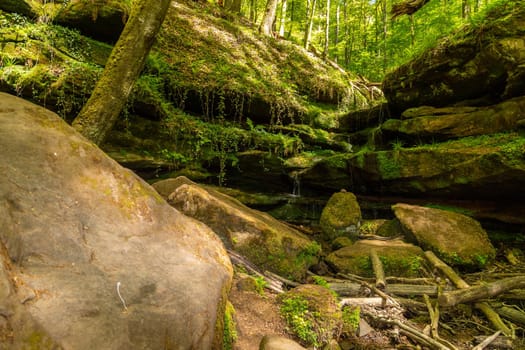 Rock formations along the footpath Hexenklamm in the Palatinate forest