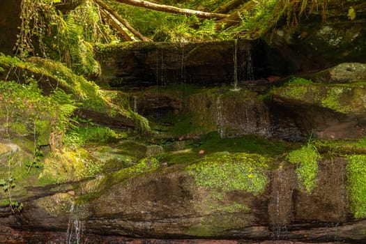 Water flowing over moss covered rocks in the canyon  Hexenklamm