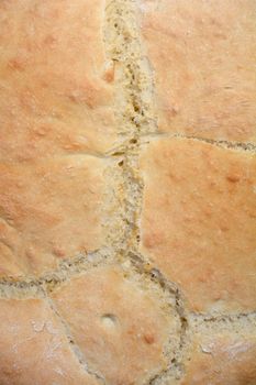 Close up of homemade bread - crust detail