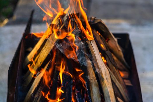 Burning wood chips to form coal. Barbecue preparation, fire before cooking.