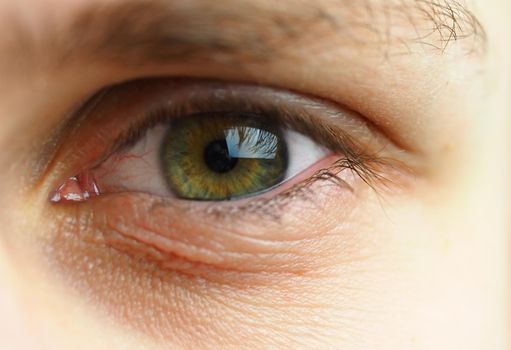 A man's eye. Macrophotography of the human eye, pupil and eyelashes. High quality photo