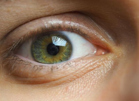 A man's eye. Macrophotography of the human eye, pupil and eyelashes. High quality photo