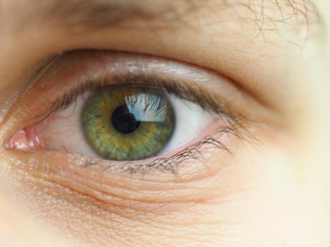 A man's eye. Macrophotography of the human eye, pupil and eyelashes. High quality photo