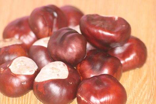 Chestnut and chestnut pod with spines on a wooden floor. Close-Up of bunch of dried chestnut fruits over wooden background.