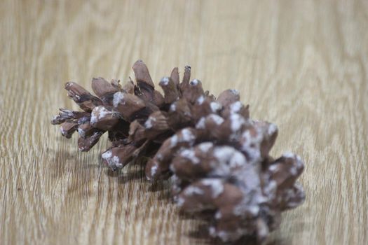 Close-Up of pine cone on wooden floor background. Pine (conifer) cone, seed cone, ovulate cone on brown wood background