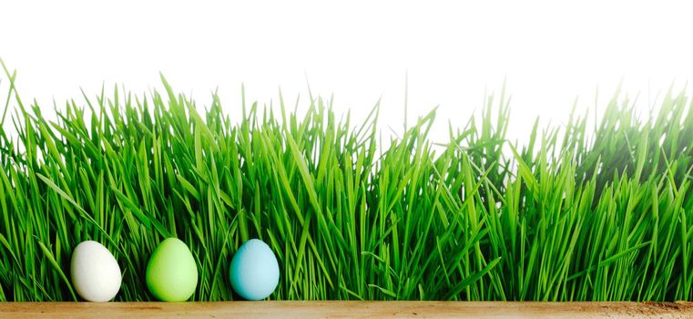 Row of Easter Eggs in fresh green grass isolated on white background