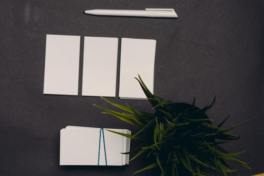 three business cards on a dark background ballpoint pen flower in a pot and a cup of coffee. High quality photo