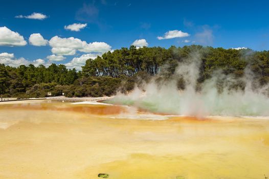 Unique vivid spring Artist's Palette in Wai-O-Tapu geothermal area, Rotorua, New Zealand 