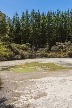 Beautiful turquoise lake called Papa Wera at Wai-O-Tapu geothermal area, New Zealand