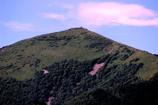 The top of the mountain with green grass and trees against the blue sky.