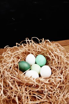 painted eggs in the nest easter holiday tradition close-up. High quality photo