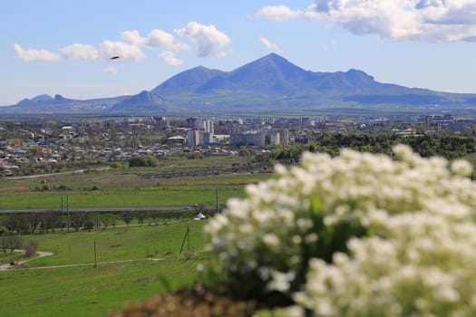 Beautiful nature, view of the mountain. A panoramic shot.