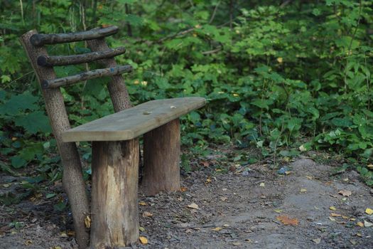 A wooden bench in the forest of stumps and branches. It's a beautiful forest.