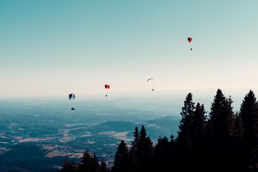 sports paragliding on a parachute over the countryside.