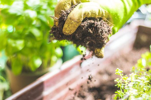 Closeup of fruitful soil for planting vegetables and herbs
