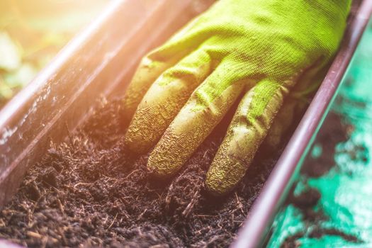 Closeup of fruitful soil for planting vegetables and herbs