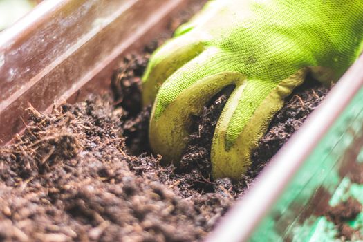 Closeup of fruitful soil for planting vegetables and herbs