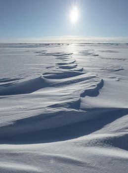 Ice slopes in sunny winter day, transparent ice of blue color, purely blue sky, long shadows, a pure snow-covered virgin soil, snow barkhans, . High quality photo