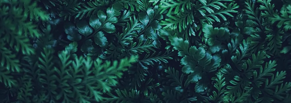 Exotic plant leaves at night as nature background closeup