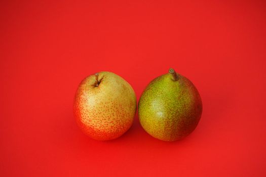 Two ripe beautiful pears on a red background. Horizontal photo.