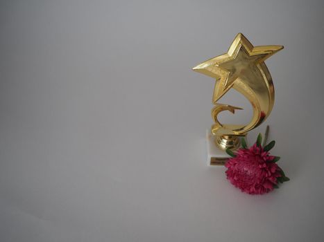 A gold star. The reward for the best achievements. High quality photo