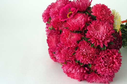 Bouquet of flowers. Asters are pink. Close-up, on a white background.