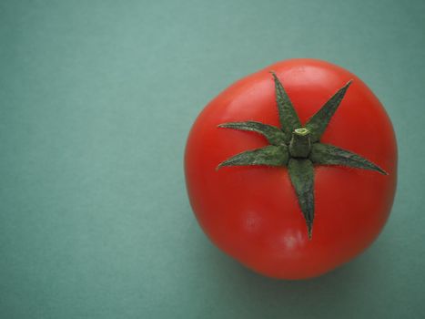 One red tomato close-up on a blue background. A quality image.