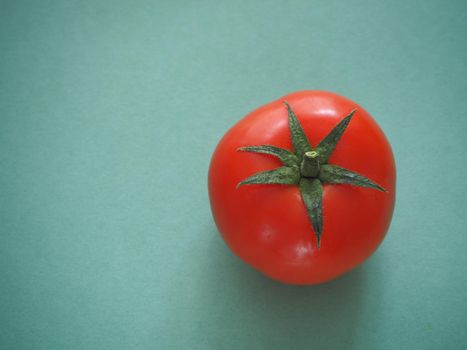 One red tomato close-up on a blue background. A quality image.