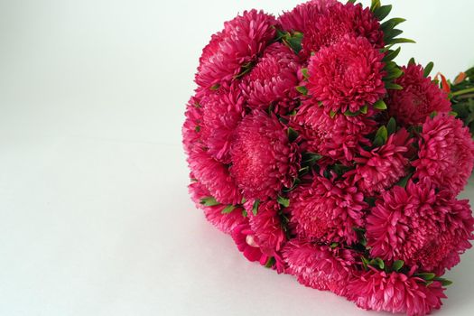 Bouquet of flowers. Asters are pink. Close-up, on a white background.