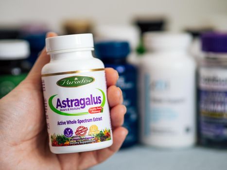 Moscow, Russia - March 09, 2021: Jar with Astragalus capsules in female hand and others nutrition supplements in blurred background. White plastic jar Astragalus by Paradise Herbs for immune support